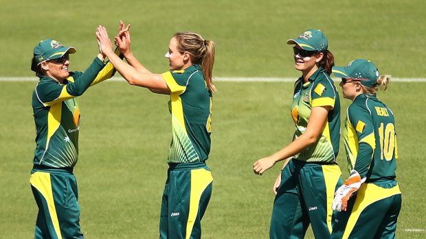 'We are still working towards the day when Australia's female cricketers will be able to earn a full-time, professional living from cricket.'