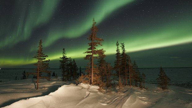 The Northern Lights (Aurora Borealis) in late winter in Churchill, Manitoba.