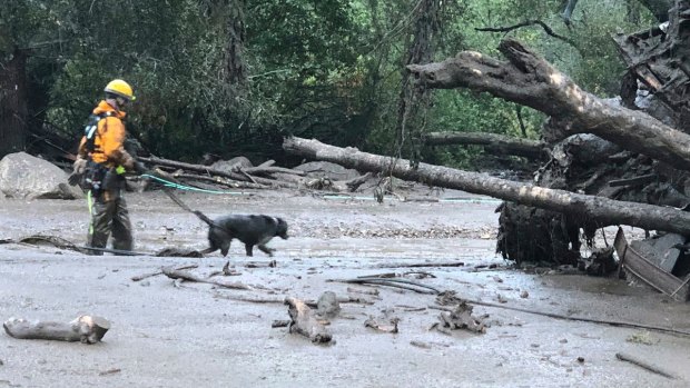 A K-9 search and rescue team walks into an area of debris and mud flow due to heavy rain in Montecito. California.