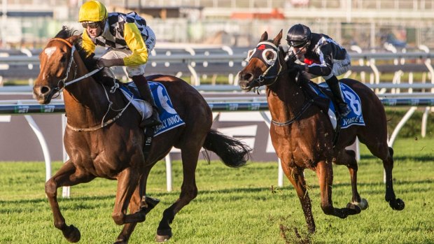 Patience rewarded: Hugh Bowman rides Clearly Innocent to victory in the Darley Kingsford-Smith Cup.