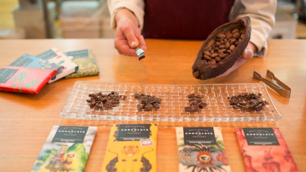 A tasting of bean-to-bar chocolate at Wellington Chocolate Factory, Hannah's Lane.