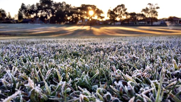 Bluegum Park in Beechboro was covered in frost as Perth shivered through the morning.