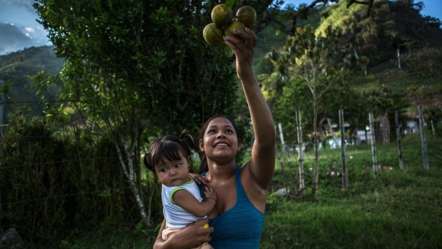 Melida, who was nine when she was lured away from her village by guerrilla fighters, collects oranges with her daughter.