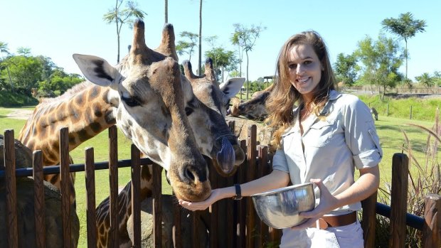 Australia's Zoo's Rosie the giraffe, left, is pregnant. 