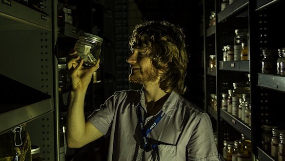 Stephen Mahony, a herpetologist at the Australian Museum, with a jar of a frog species named by another researcher in recognition of taxonomy work done Mr Mahony's father.