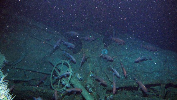 The submarine was lost just 40 days after Australia committed to battle in World War 1.