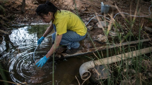 Researcher Maggie Lau takes samples from a spring in the Limpopo region of South Africa. Data she compiled revealed the role of methane in feeding a community of microbes. 