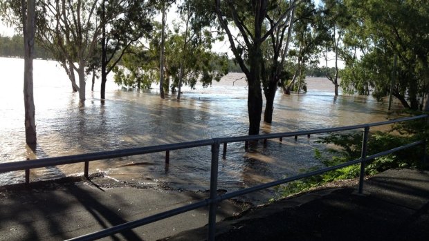 The Fitzroy River in Rockhampton bursts its banks on Tuesday.