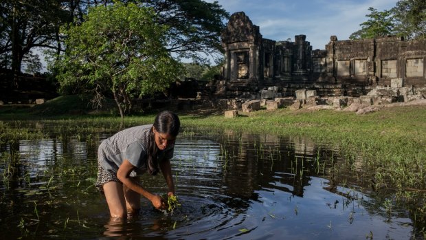 A woman at work beside ruins in the Angkor region of Cambodia.