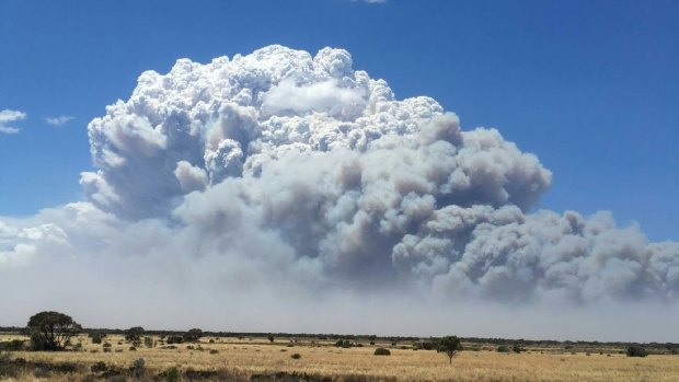 The smoke plume above Eyre Highway fire. 