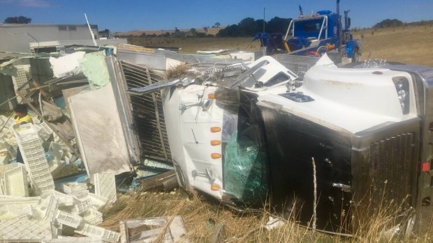 A truck carrying thousands of chicks crashed near Yass on Monday.