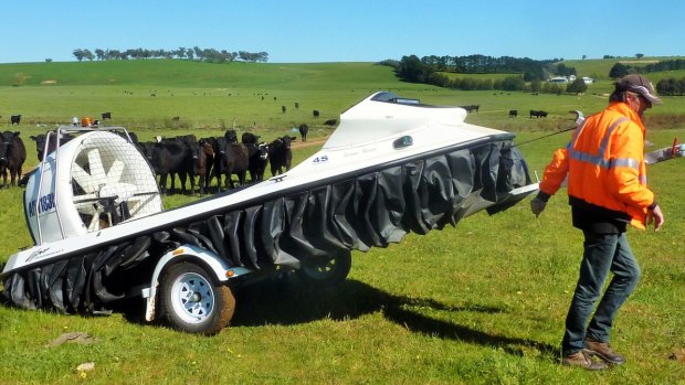 Curious cows gather around a hovercraft at a collector farm this week.