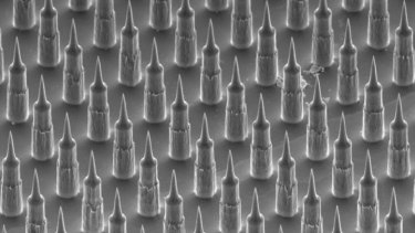 A microscopic view of the nanopatch.