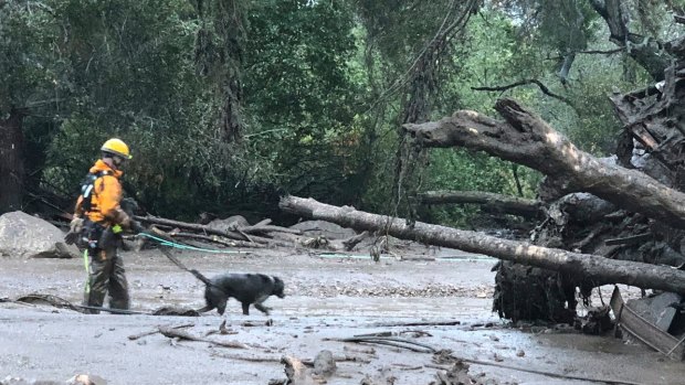 A rescuer and his dog search an affected area in Montecito. California on Tuesday.
