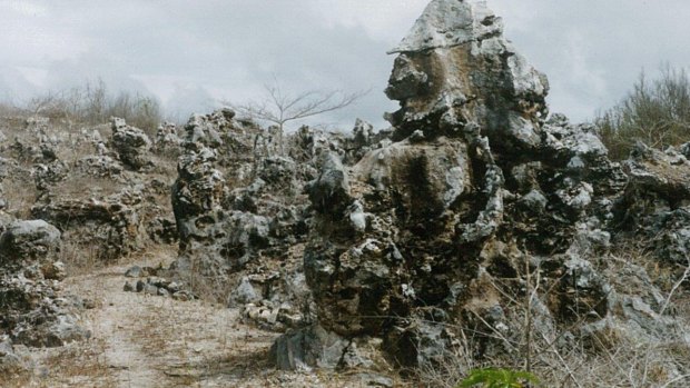 Bones of the land: The eery pinnacles of coral that cover Banaba. 