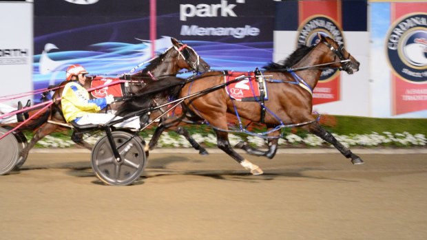 Impressive: Lennytheshark is the favourite for next week's Victoria Cup at Melton.