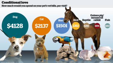 Dogs V Cats We Ll Pay Vets Almost Double To Treat One