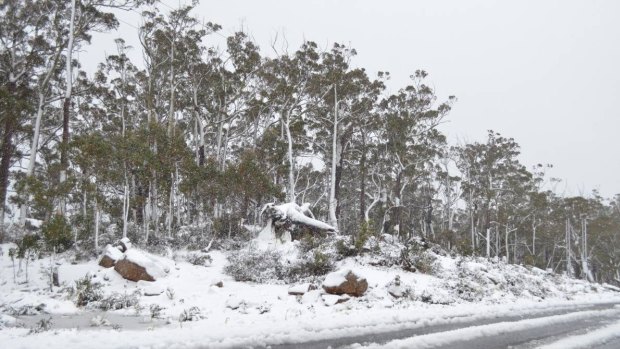 The snow fall comes after a record-breaking heatwave for the state in November.