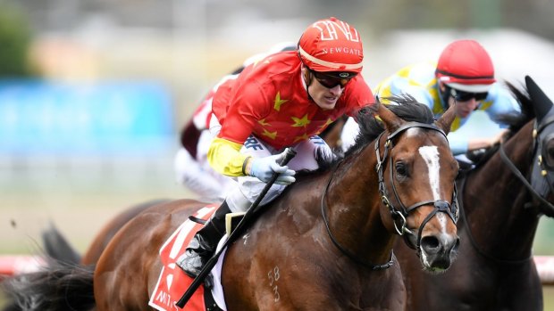 Russian Revolution will run in the Moir Stakes at Moonee Valley on Friday night.