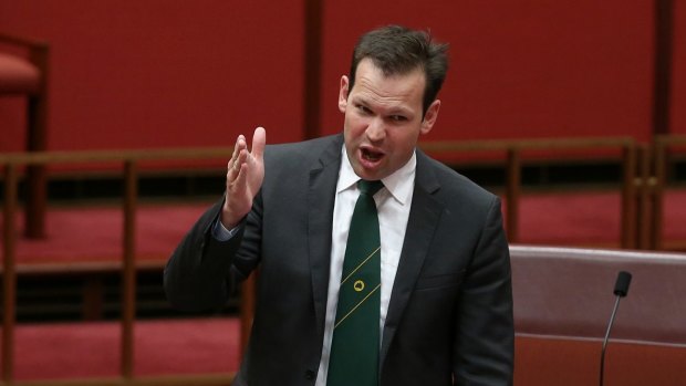 New frontbencher Matt Canavan says statehood for northern Queensland could benefit the region's economy. 