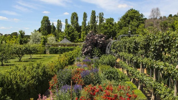 Vibrant summer colours on display at Mayfield Garden in Oberon.