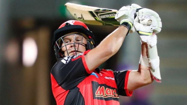 Brad Hodge in action for the Renegades.