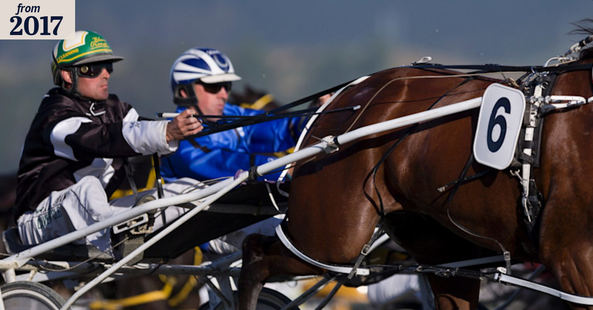 Four charged over alleged harness race fixing operation in Victoria