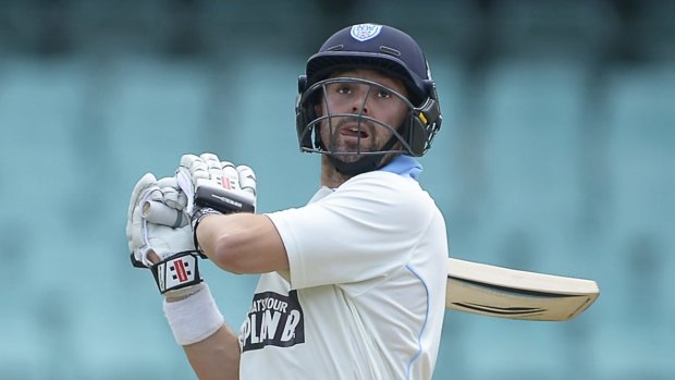 Down and out: Ed Cowan was hit in NSW's clash with Western Australia on Friday.