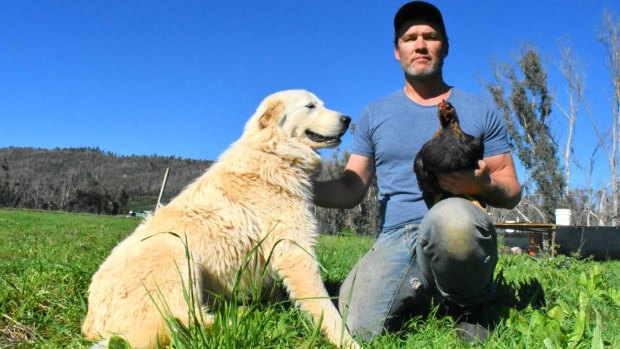 Southampton Homestead owner Jeff Pow holds serious concerns an aerial pesticide spraying program on neighbouring properties will taint the stock and produce on his all organic farm.
