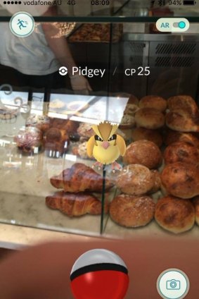 Euan Brown joked the appearance of this Pidgey inside a Canberra cafe was unhygienic.