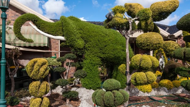 A garden in Sunshine West proudly landscaped with topiary hedges is among the photographs from Warren Kirk's book Westography.