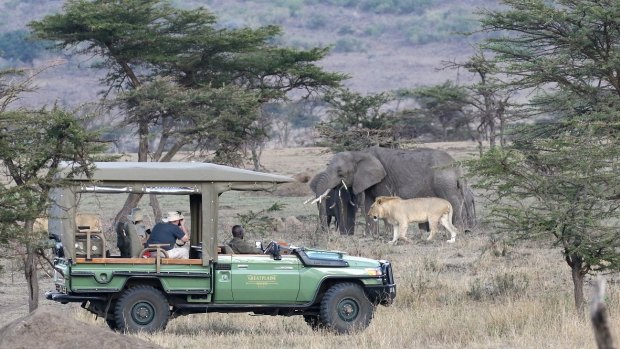 Tourists watch elephants and lions just metres from their vehicle.