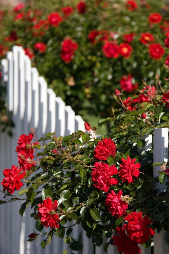Flower gardens in bloom can increase property values.