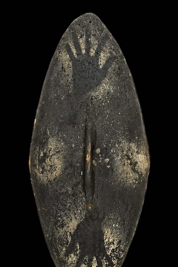 Shield collected from the Shoalhaven by Henry Moss before 1862.