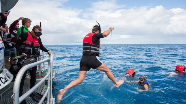Kewell takes the plunge to swim with whales.