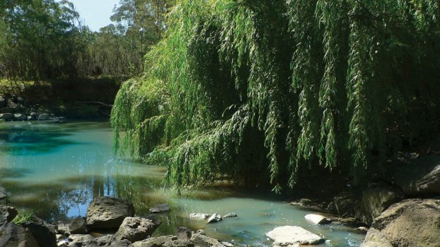 Mullum Mullum Creek.
