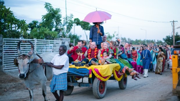 When getting married in India, Dom chooses to travel exclusively by bullock.