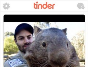 Patrick the wombat is looking for love. 