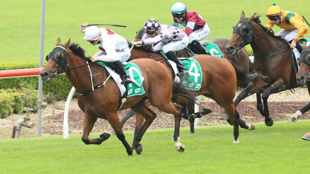 On the rise: James Innes jnr drives Deploy away for another win at Canterbury.
