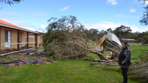 The tornado lifted off roof files, felled a tree and destroyed stables.