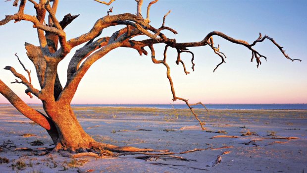 Lifeline to the community: Menindee Lakes are drying out.