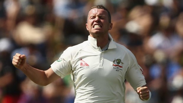 Racing the clock: Peter Siddle hopes to be fit for the WACA Test next month.