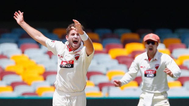 Could Chadd Sayers take Jackson Bird's place in the final XI?