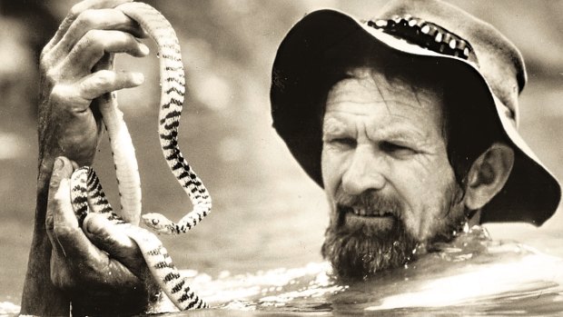 Harry, pictured in 1973, with a venomous brown tree snake.
