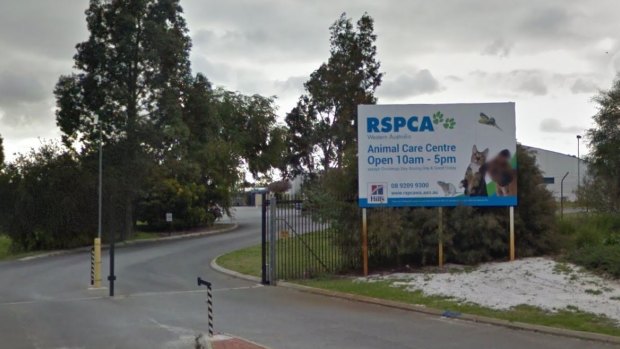 RSPCA WA appealed for information relating to both cases last week.