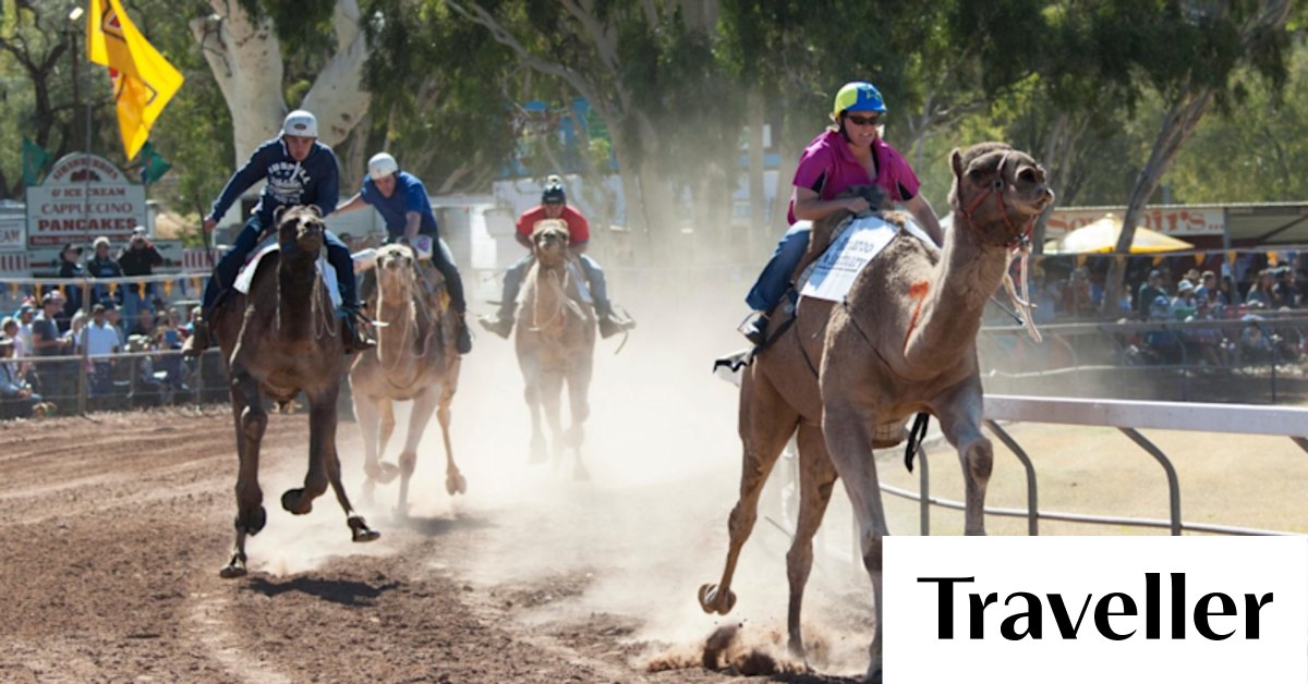 Northern Territory: The Uluru Camel Cup is a classic outback event