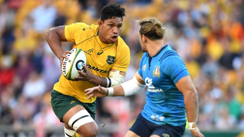 Lopeti Timani Hints He Will Start At No 8 For The Wallabies Against All Blacks