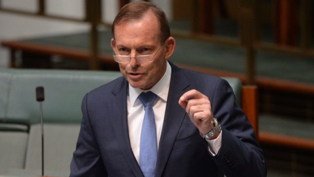 Tony Abbott: his style of opposition ultimately led him to inherit a paralysed government unable to make budget cuts or raise any taxes.