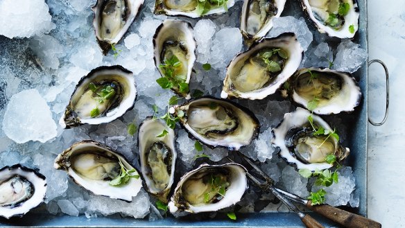 Farmed oysters can help break down marine pollution.