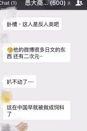 A screenshot of a Sydney University Business School WeChat group discussing tutor Wei Wu. 